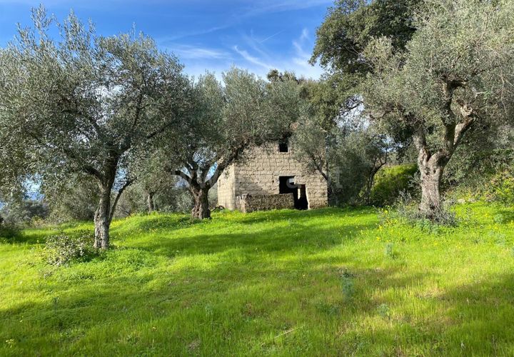 Landejendom i Fundao, Castelo Branco, Fundao - € 27.500 | Ref: 255250014 - foto 1