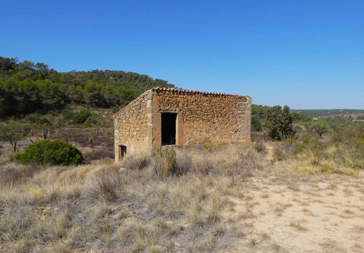 Finca i Maella, Zaragoza, Maella - € 16.500 | Ref: 0959 - foto 1