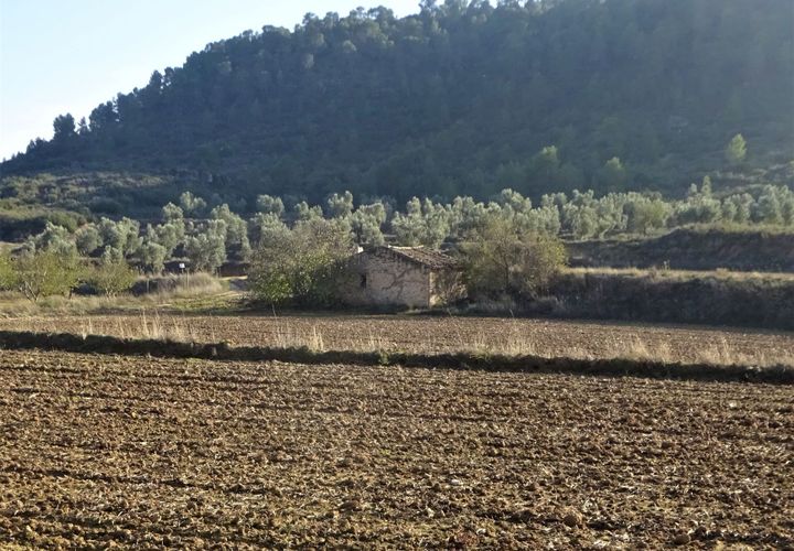 Finca i Maella, Zaragoza, Maella - € 26.000 | Ref: 0835 - foto 1