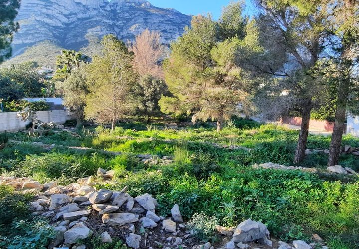 Terra a Denia, Alicante, Denia - € 412.000 | Ref: L001649 - foto 1
