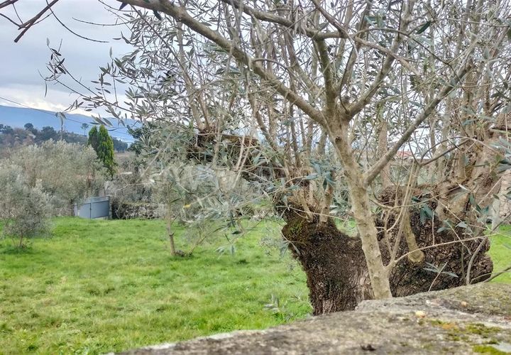 Helårsgrund i Mangualde, Viseu, Mangualde - € 49.000 | Ref: 389250018 - foto 1