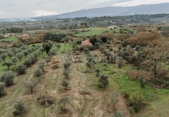 Farm i Fundao, Castelo Branco, Fundao - € 109.500 | Ref: 255240247 - foto 1