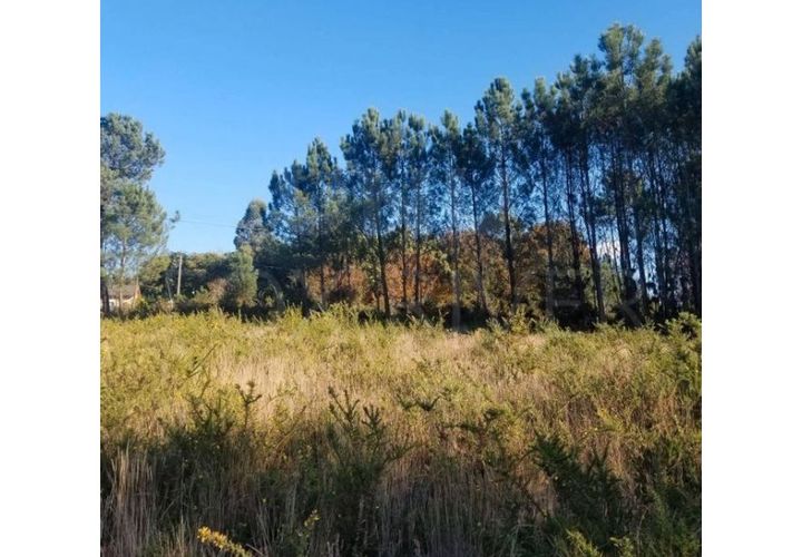 Helårsgrund i Valenca, Viana do Castelo, Valenca - € 100.000 | Ref: F1-03-48 - foto 1