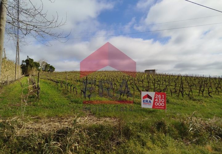 Terra a Carvalhal, Leiria, Carvalhal - € 550.000 | Ref: 130250018 - foto 1