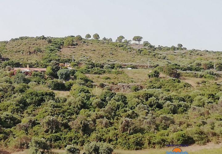 Terra a Castelsardo, Sassari, Castelsardo - € 60.000 | Ref: Terreno - foto 1