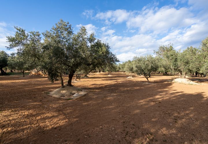 Tomt i Aldover, Tarragona, Aldover - € 23 000 | Ref: 176 - foto 1