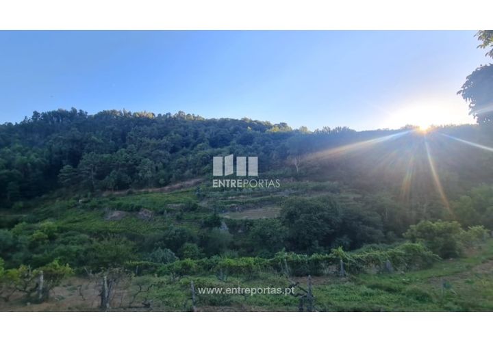 Terra a Ancede e Ribadouro, Porto, Ancede e Ribadouro - € 30.000 | Ref: MC09721 - foto 1