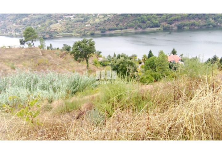Terra a Resende, Viseu, Resende - € 350.000 | Ref: MC09732 - foto 1