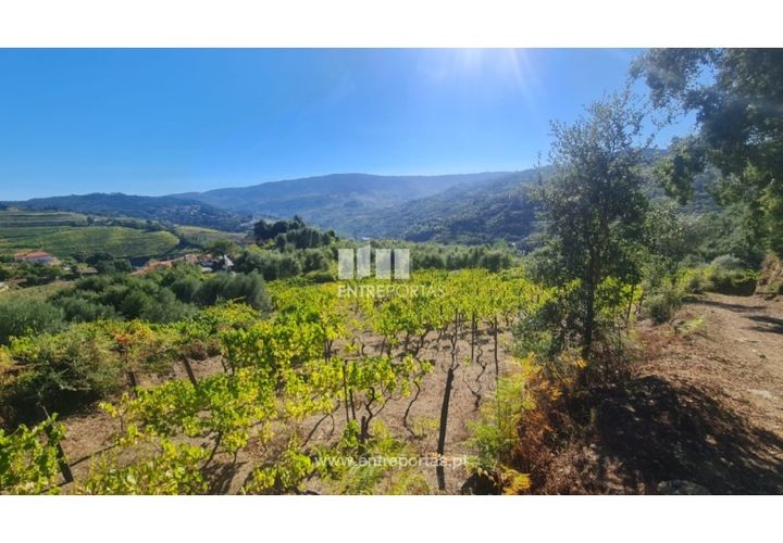 Helårsgrund i Ancede e Ribadouro, Porto, Ancede e Ribadouro - € 37.500 | Ref: MC09731 - foto 1