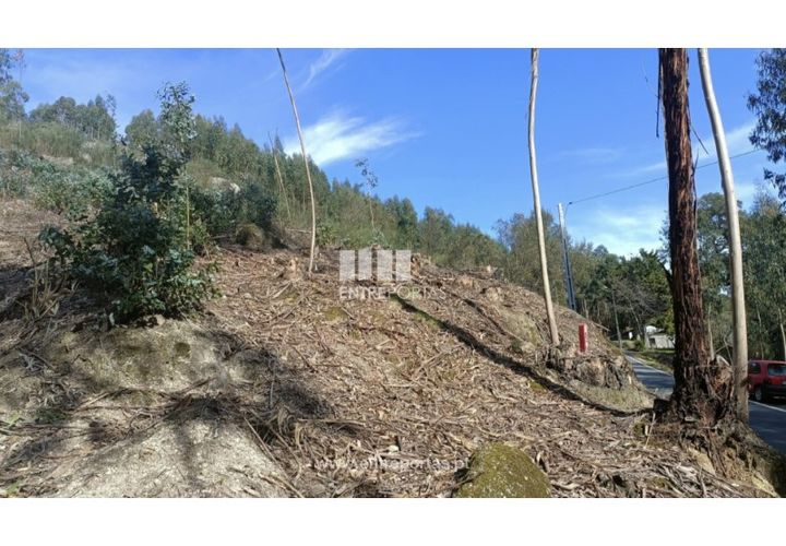 Helårsgrund i Penafiel, Porto, Penafiel - € 5.500 | Ref: MC09648 - foto 1