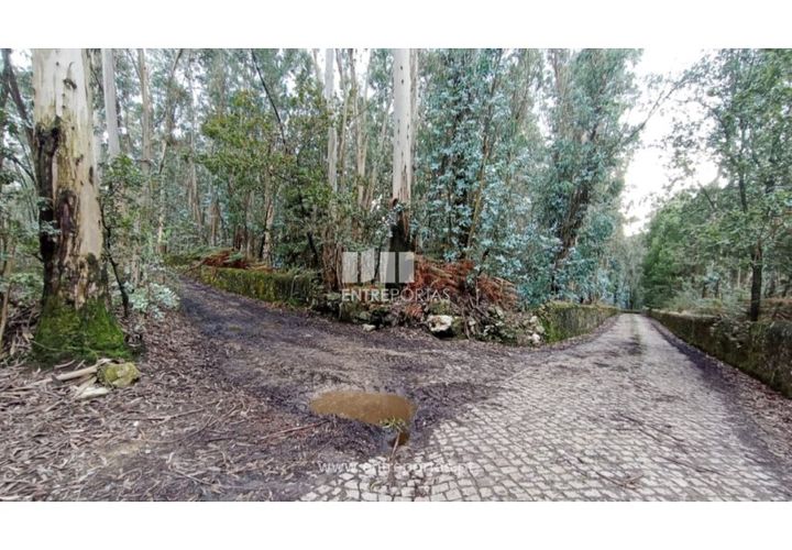 Tomt i Vila do Conde, Porto, Vila do Conde - € 430 000 | Ref: VC04761 - foto 1