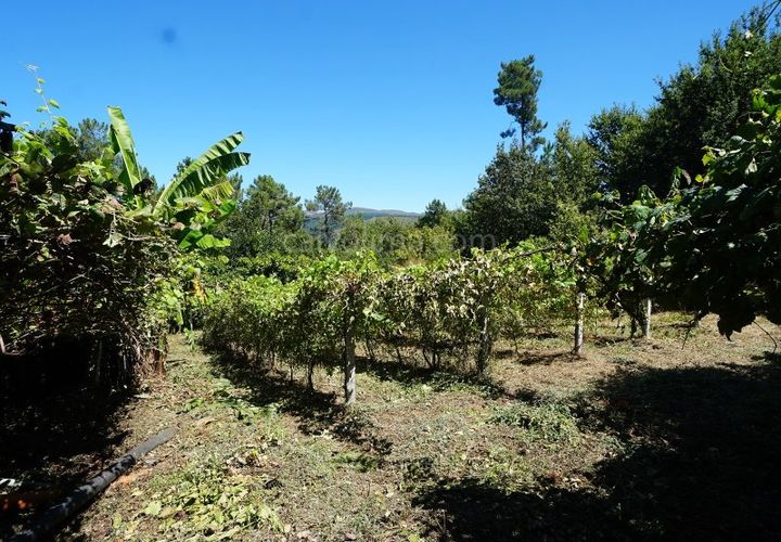 Helårsgrund i Moncao, Viana do Castelo, Moncao - € 15.000 | Ref: 4223 - foto 1