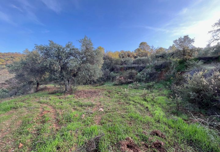 Helårsgrund i Monda, Malaga, Monda - € 52.000 | Ref: EXP08993/8930 - foto 1