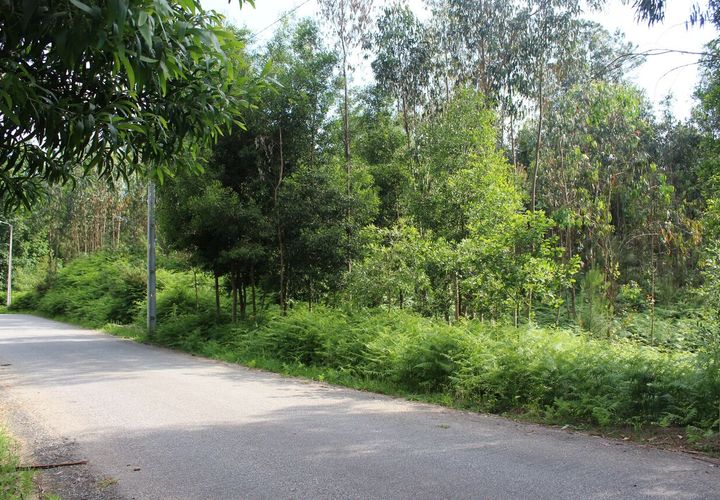 Helårsgrund i Moncao, Viana do Castelo, Moncao - € 45.000 | Ref: SF-SAFTI:003338 - foto 1