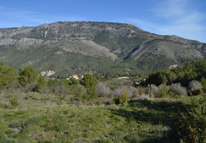 Terra a Guadalest, Alicante, Guadalest - € 55.000 | Ref: 6433 - foto 1
