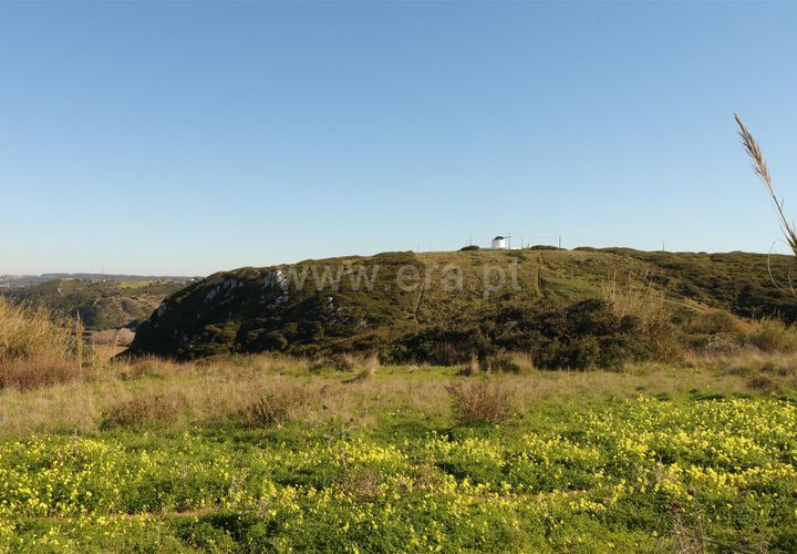Helårsgrund i Torres Vedras, Lisbon, Torres Vedras - € 57.400 | Ref: 295250003 - foto 1
