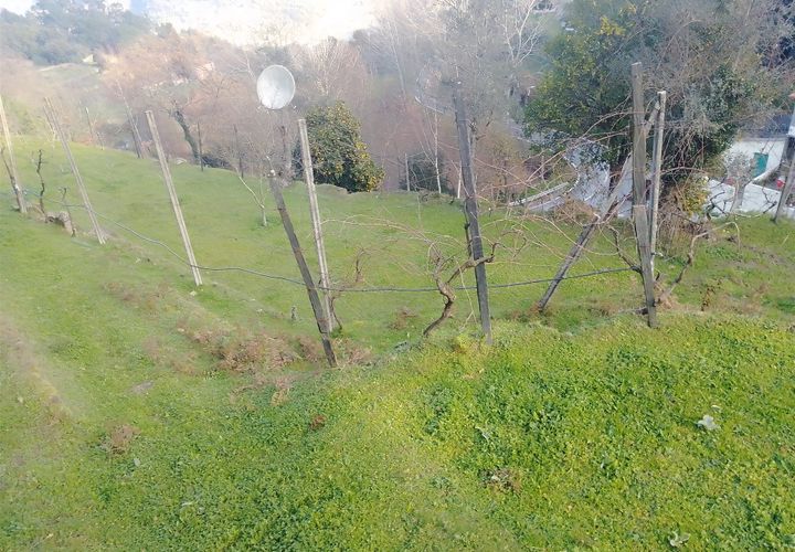 Terra a Cinfaes, Viseu, Cinfaes - € 35.000 | Ref: DH678 - foto 1