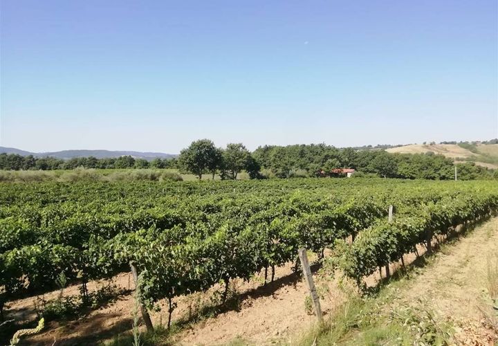 Farm hus i Sorano, Grosseto, Sorano - € 500.000 | Ref: a1190rv58552 - foto 1