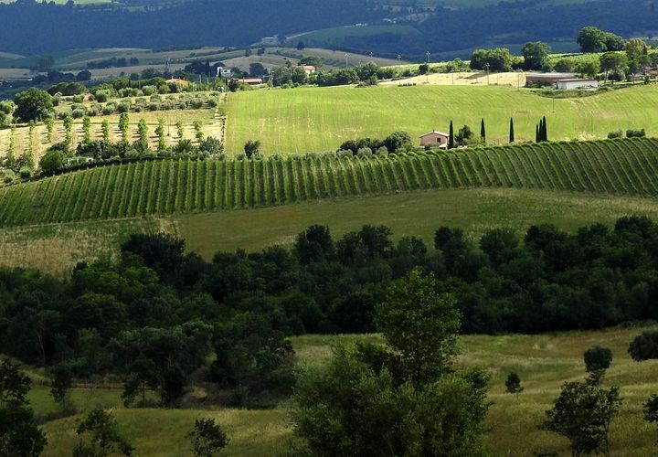Farm hus i Scansano, Grosseto, Scansano - € 1.200.000 | Ref: a7631ta2014348a - foto 1