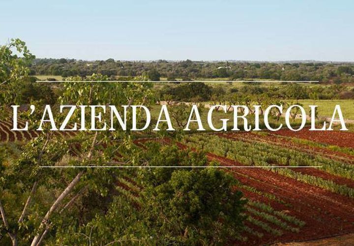 Farm hus i Capalbio, Grosseto, Capalbio - € 1.250.000 | Ref: a7631ta2272241a - foto 1