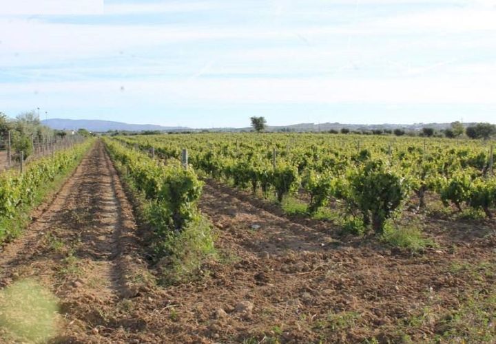Farm hus i Redondo, Evora, Redondo - € 650.000 | Ref: JG170 - foto 1