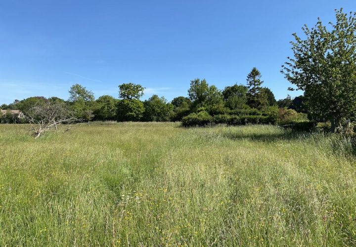Terra a Houlgate, Calvados, Houlgate - € 127.500 | Ref: Auberville_5 - foto 1