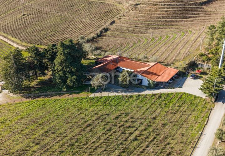 Farm i Tabuaco, Viseu, Tabuaco - € 1.650.000 | Ref: ZMPT567580 - foto 1