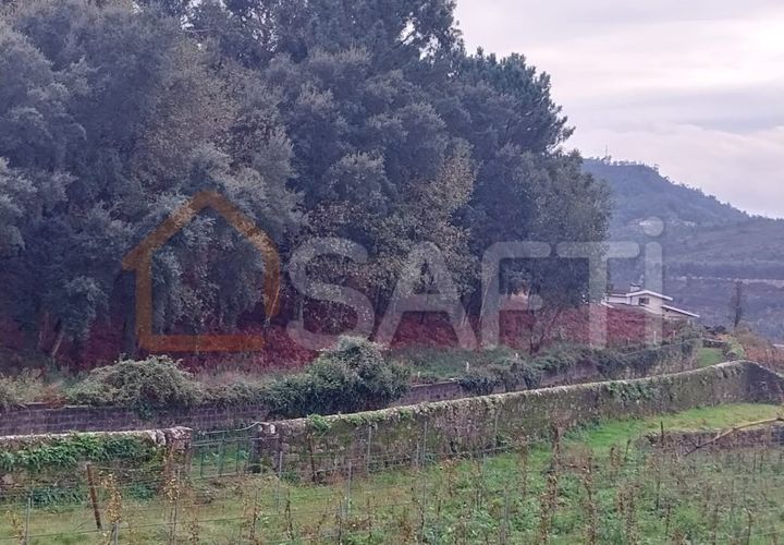 Terra a Ceivaes e Badim, Viana do Castelo, Ceivaes e Badim - € 95.000 | Ref: SAFTI:004246 - foto 1
