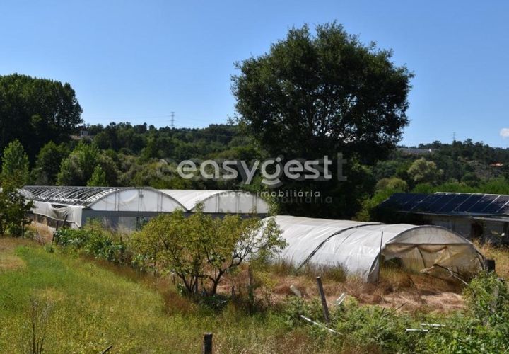 Helårsgrund i Viseu, Viseu, Viseu - € 60.000 | Ref: VS95756 - foto 1