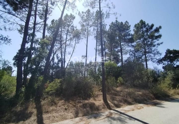 Helårsgrund i Tomar, Santarem, Tomar - € 36.000 | Ref: TM96122 - foto 1