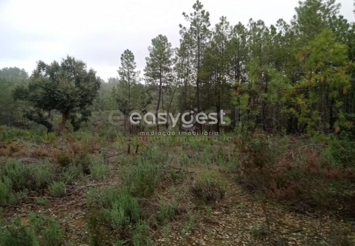 Helårsgrund i Castelo Branco, Castelo Branco, Castelo Branco - € 20.000 | Ref: CB95619MA - foto 1