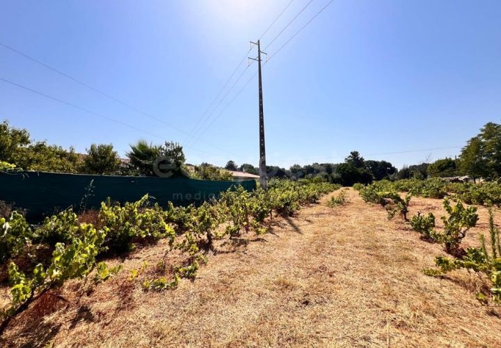 Tomt i Abrantes, Santarem, Abrantes - € 60 000 | Ref: TM95484 - foto 1