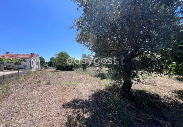 Helårsgrund i Tomar, Santarem, Tomar - € 67.000 | Ref: TM95830 - foto 1