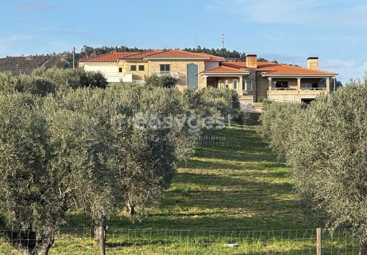 Farm i Vila Flor, Braganca, Vila Flor - € 690.000 | Ref: BG95400TM - foto 1