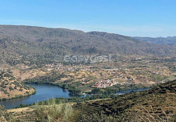 Terra a Torre de Moncorvo, Braganca, Torre de Moncorvo - € 400.000 | Ref: BG95742TM - foto 1