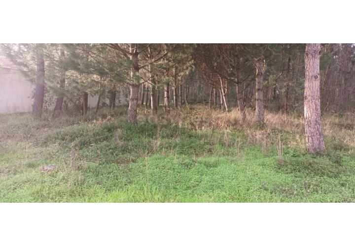 Helårsgrund i Leiria, Leiria, Leiria - € 65.000 | Ref: LE96492NZ - foto 1