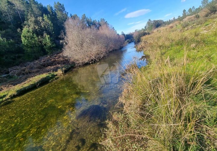 Helårsgrund i Castelo Branco, Castelo Branco, Castelo Branco - € 35.000 | Ref: H724 - foto 1