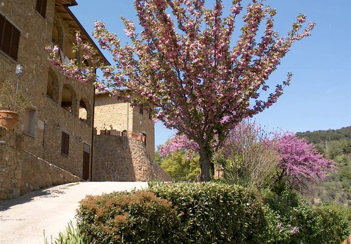 Farm hus i Trequanda, Siena, Trequanda - € 2.000.000 | Ref: a1190ta24450 - foto 1