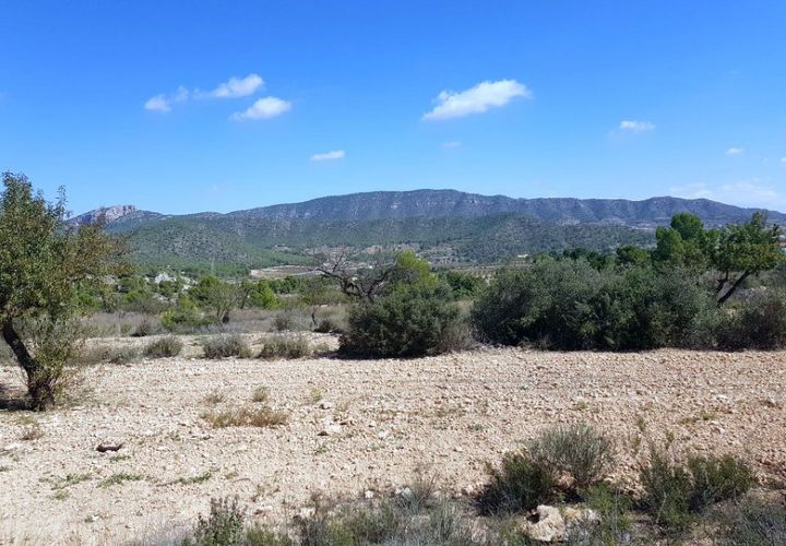 Terra a Monovar, Alicante, Monovar - € 39.999 | Ref: LJ1377 - foto 1