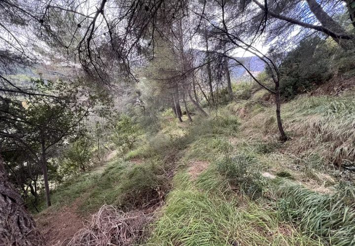Terra a Menton, Alpes-Maritimes, Menton - € 175.000 | Ref: A05938 - foto 1
