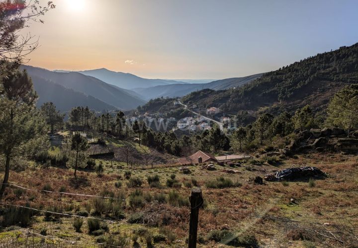 Terra a Seia, Guarda, Seia - € 62.000 | Ref: 382250012 - foto 1