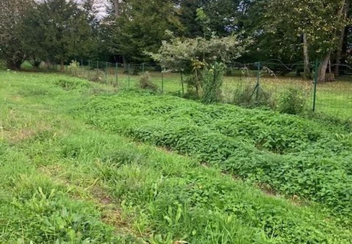 Terra a Vinay, Isere, Vinay - € 79.000 | Ref: 85632651 - foto 1