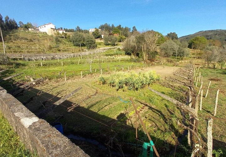 Tomt i Ceivaes e Badim, Viana do Castelo, Ceivaes e Badim - € 45 000 | Ref: SF-SAFTI:003192 - foto 1