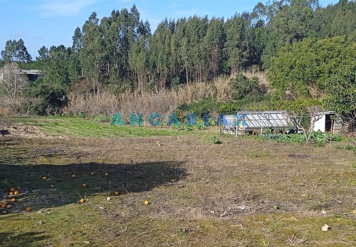 Helårsgrund i Leiria, Leiria, Leiria - € 100.000 | Ref: ANG1343 - foto 1