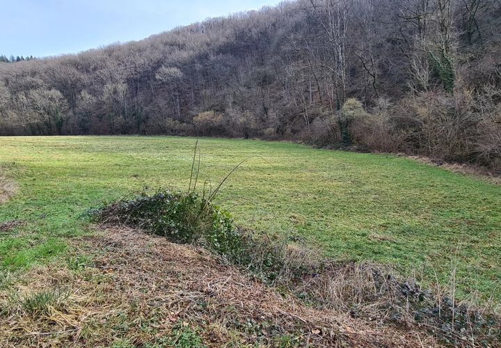 Terra a Paulinet, Tarn, Paulinet - € 16.000 | Ref: 85645731 - foto 1