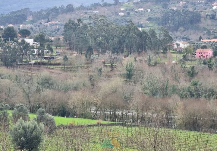 Helårsgrund i Ponte de Lima, Viana do Castelo, Ponte de Lima - € 50.000 | Ref: PTL-001-095 - foto 1
