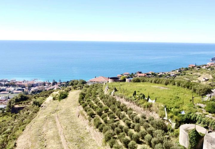 Villa i Ospedaletti, Imperia, Ospedaletti - € 480.000 | Ref: T212-225050 - foto 1
