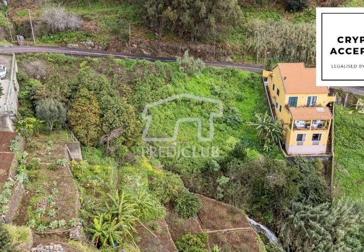 Terra a Ribeira Brava, Madeira, Ribeira Brava - € 80.000 | Ref: 11524-DF - foto 1