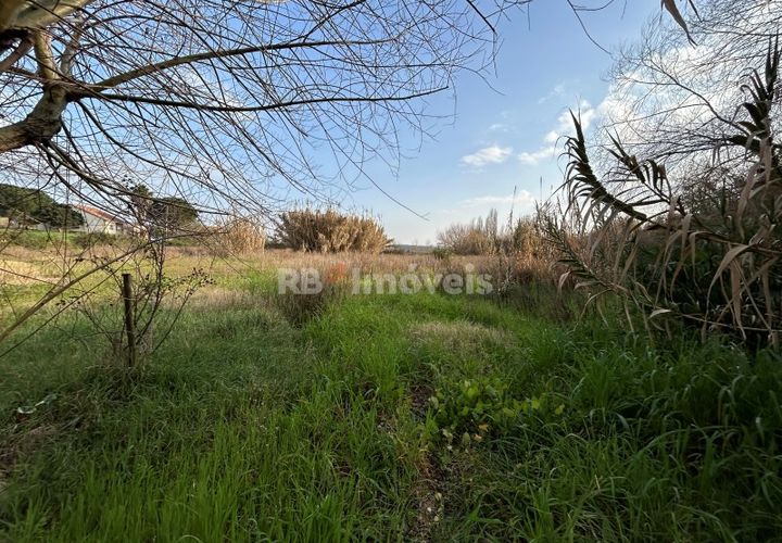Helårsgrund i Tomar, Santarem, Tomar - € 45.000 | Ref: 01125-24 - foto 1