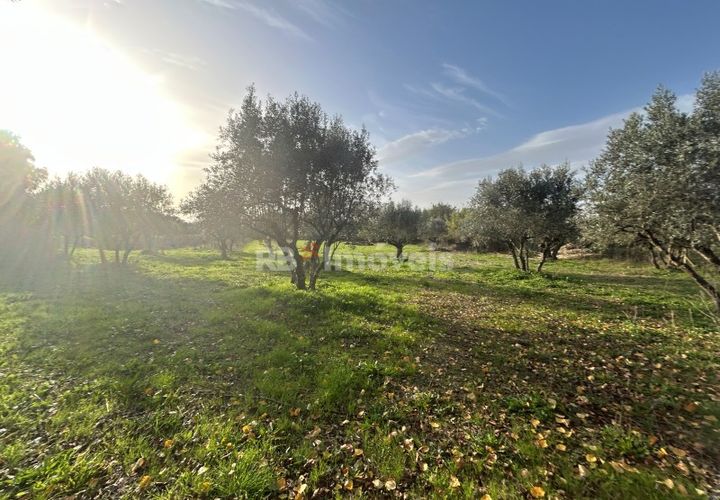 Helårsgrund i Tomar, Santarem, Tomar - € 34.000 | Ref: 01338-24 - foto 1